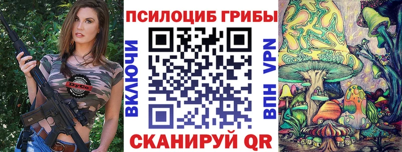 блэк спрут tor  Гуково  Галлюциногенные грибы MAGIC MUSHROOMS  хочу  